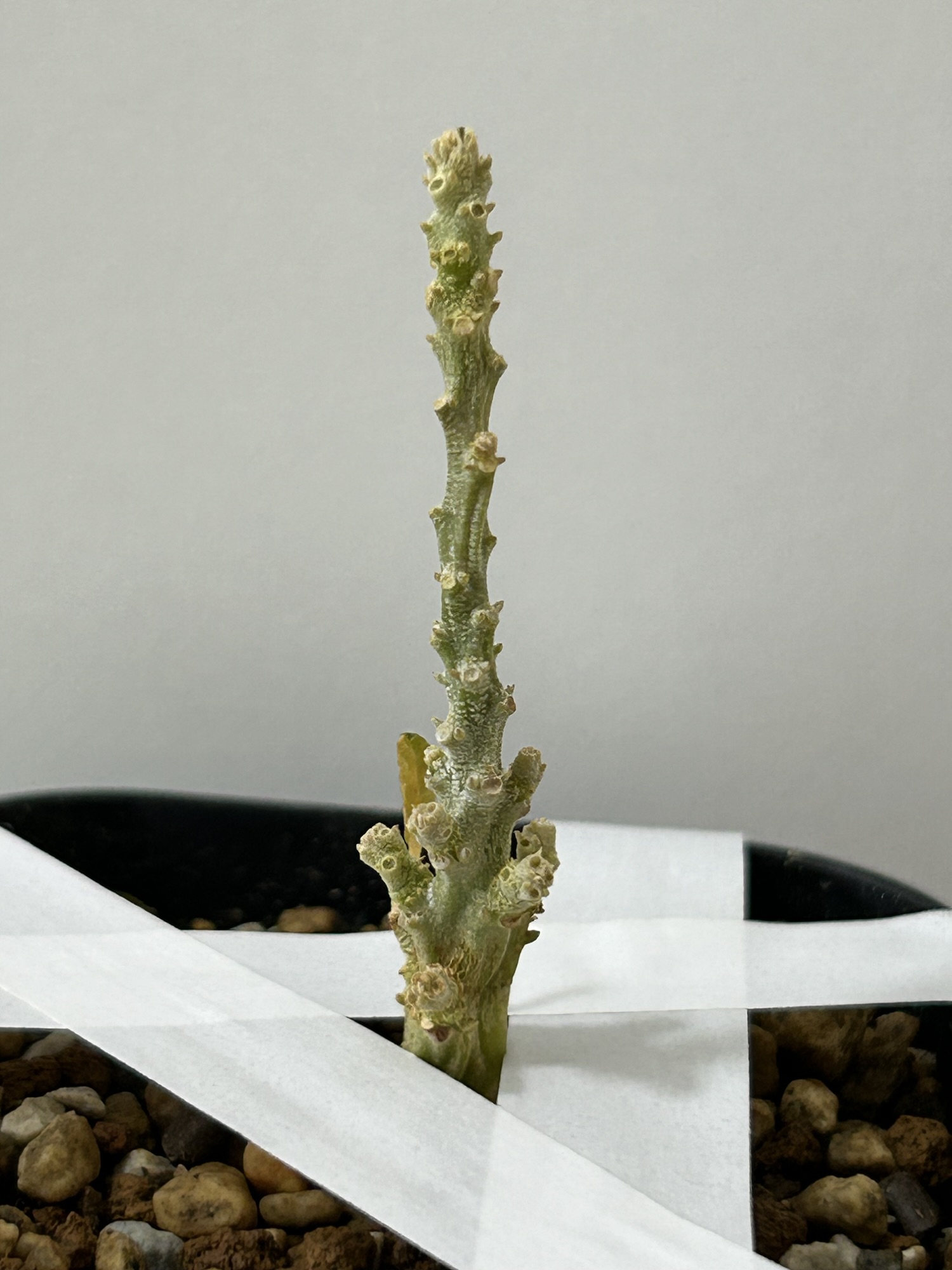 5/19