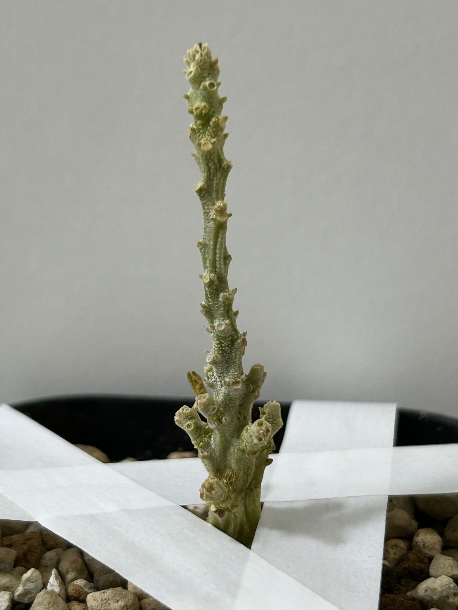 5/20