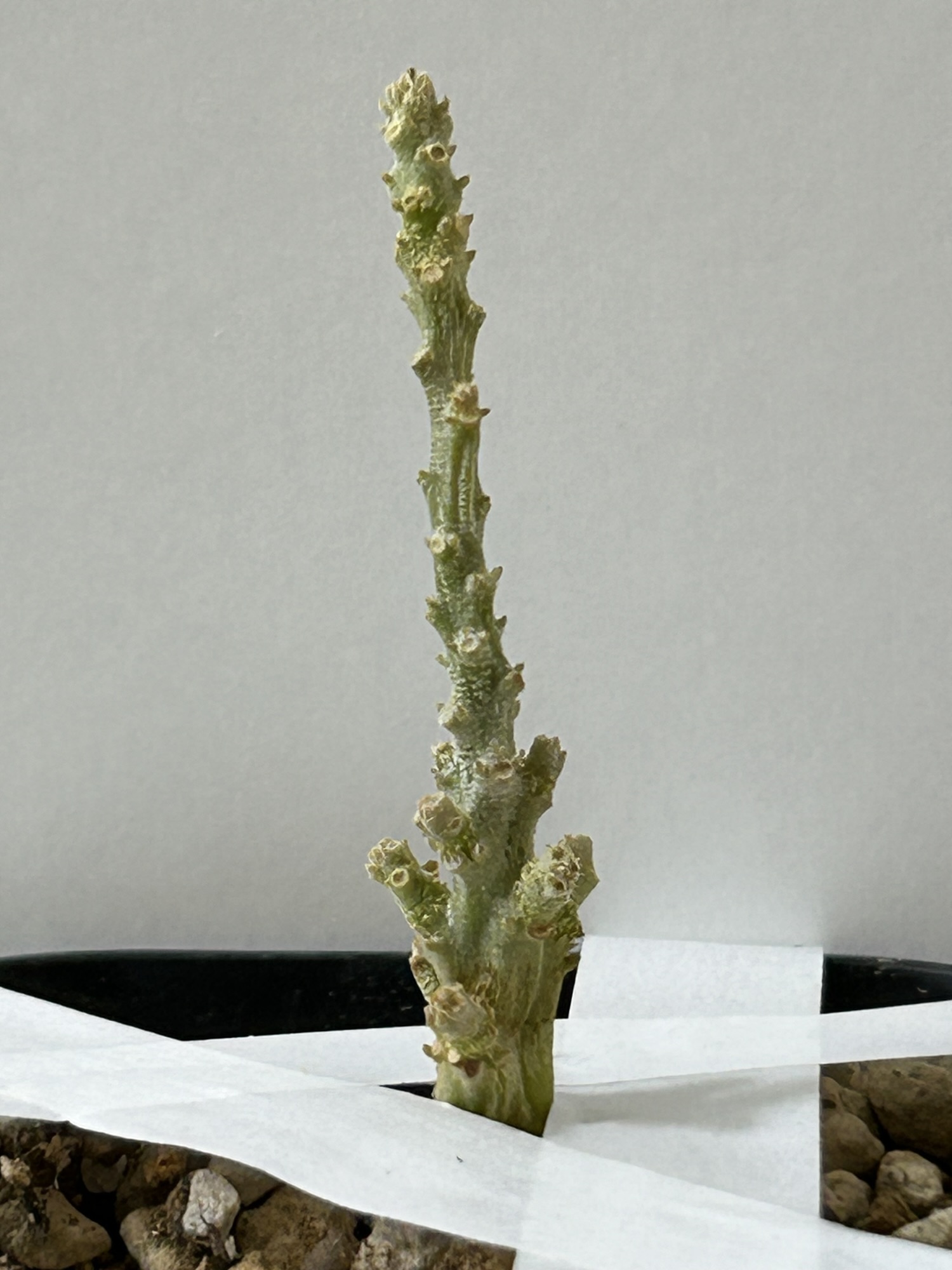 5/23