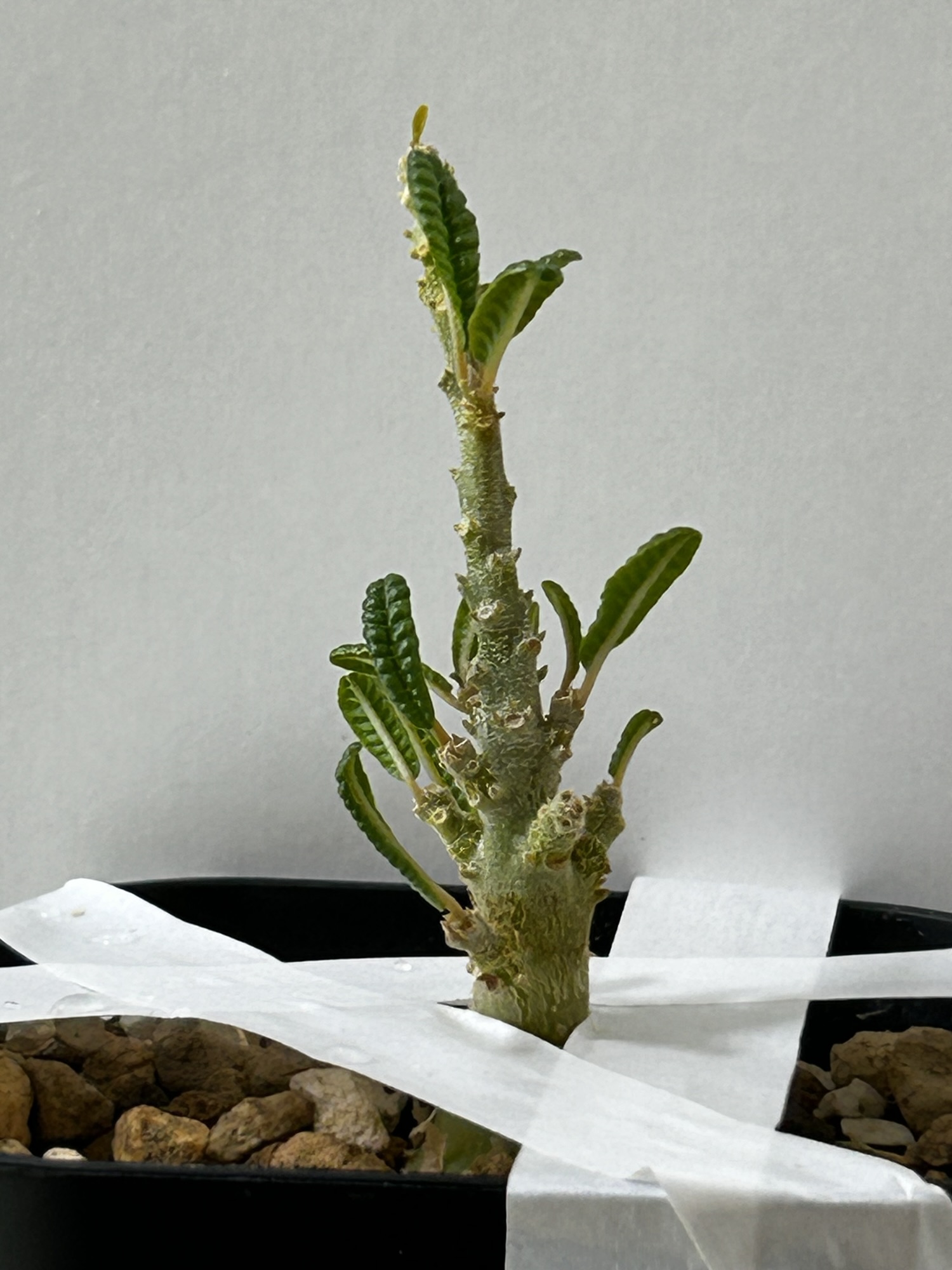 6/9